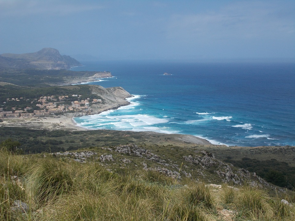 Águilas in Peril: Conservation Efforts to Protect these Magnificent Birds