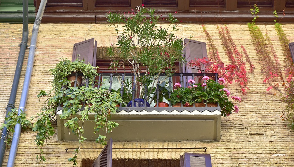 Pamplona's Fiesta de San Fermín: A Bucket List Adventure Worth Chasing