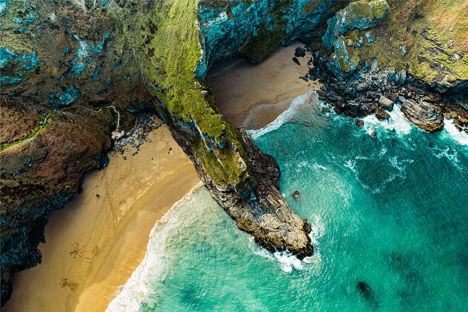 Meet the Kings of the Skies: The Incredible Life of Águilas