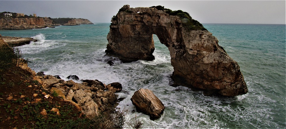 Flying Solo: The Adventurous Lifestyle of Solitary Águilas