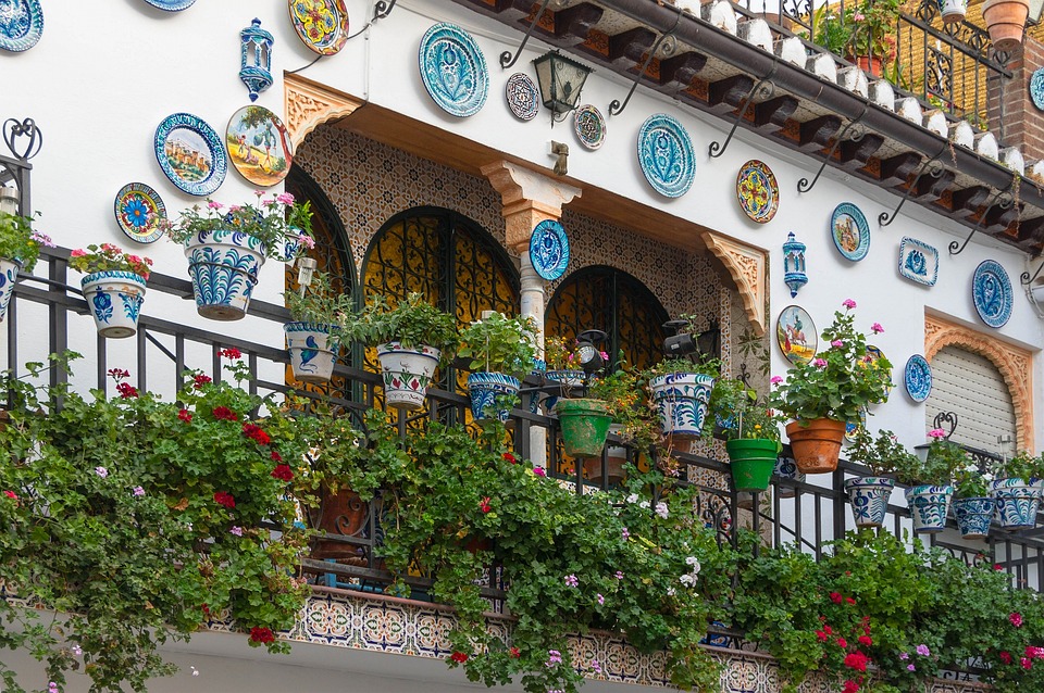 Cultivating Elegance: How Spain Became a Leading Rose Producer in Europe