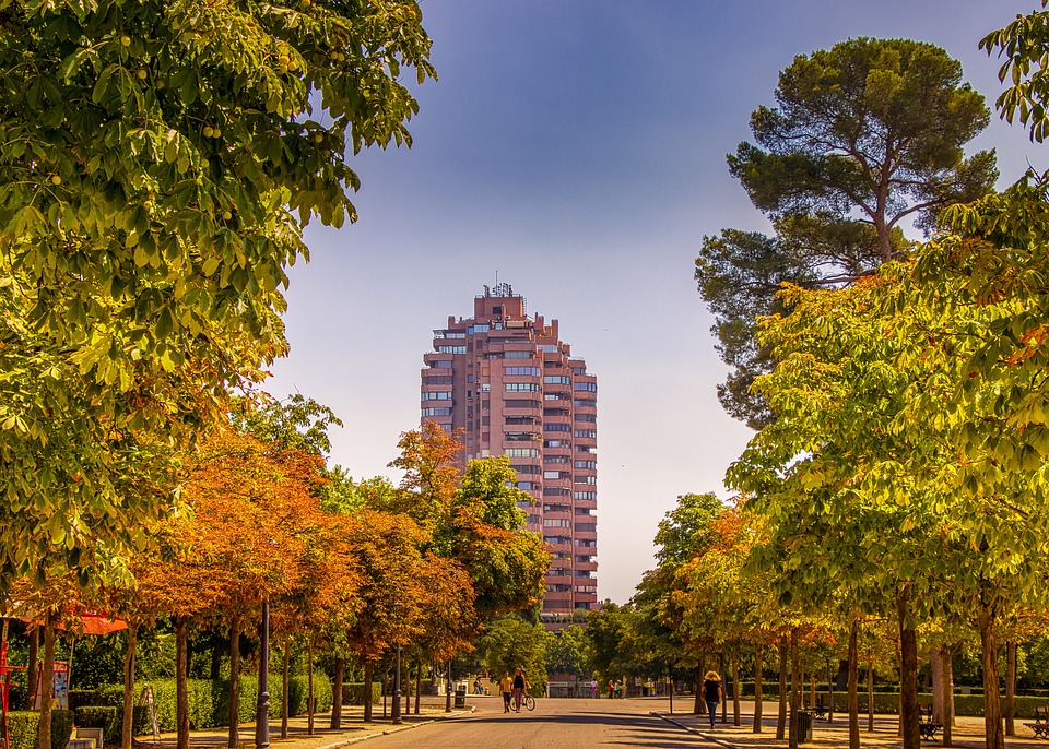 Revolutionizing Alzheimer's Care: Alzira's Groundbreaking Discoveries