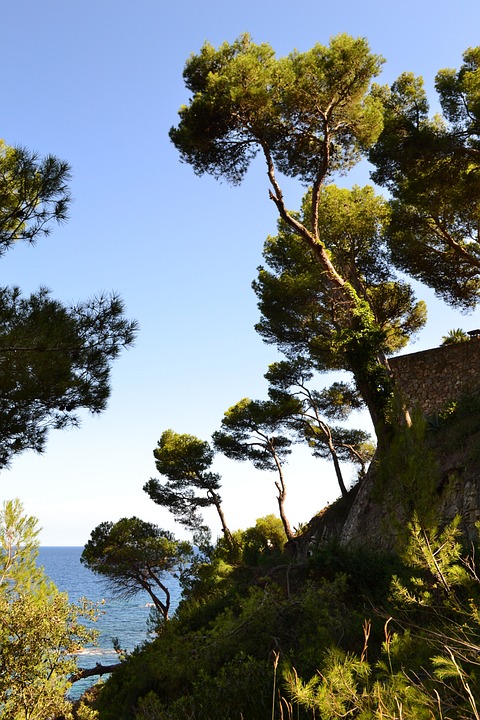 Discovering History and Beauty in Pals, Spain: Your Next Must-Visit Destination