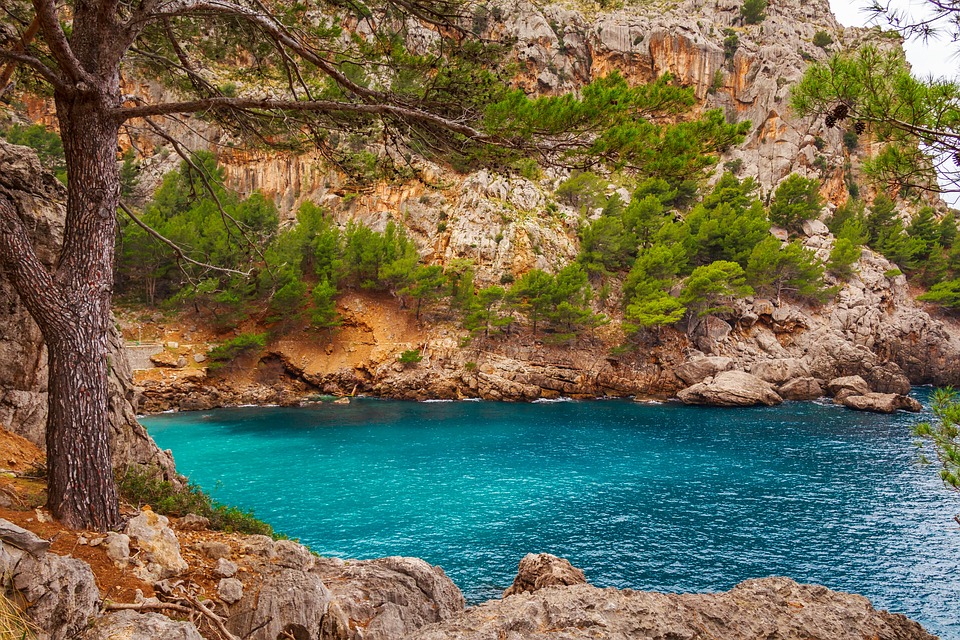 Castellón de la Plana's Art and Culture Scene: Where Tradition Meets Contemporary Masterpieces
