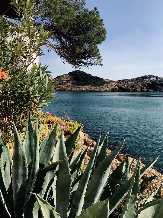 Indulge in Gastronomic Bliss: Sant Feliu de Guíxols' Culinary Scene