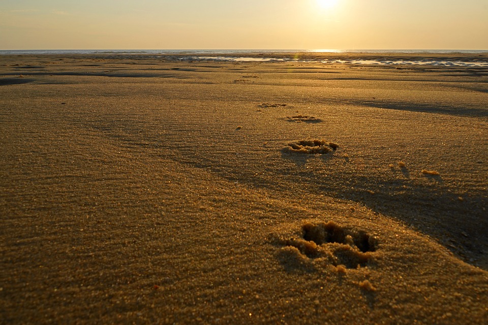 Miami Platja: Where Relaxation and Adventure Meet