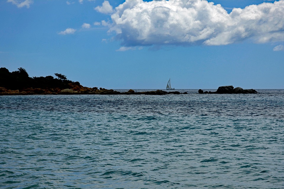 Exploring the Majestic World of Águilas: Uncovering Their Secrets and Superpowers