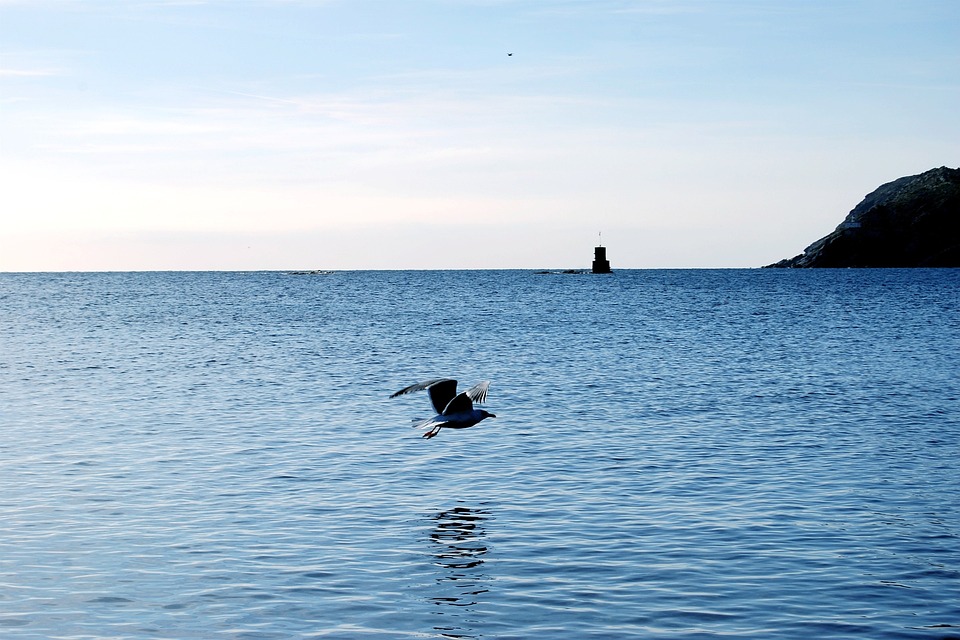 Lloret de Mar: A Food Lover's Haven in the Heart of Costa Brava