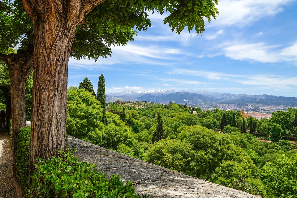 Palamos Beyond the Sun and Sand: A Haven for Nature Lovers and Food Enthusiasts