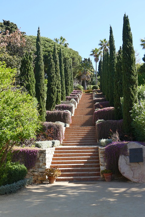Unearthing Spain's Rose Heritage: A Journey Through History and Culture