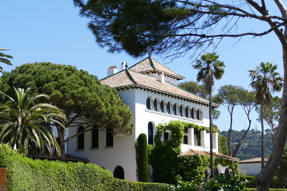 Beyond Red Roses: Exploring the Diverse Species Cultivated in Spain
