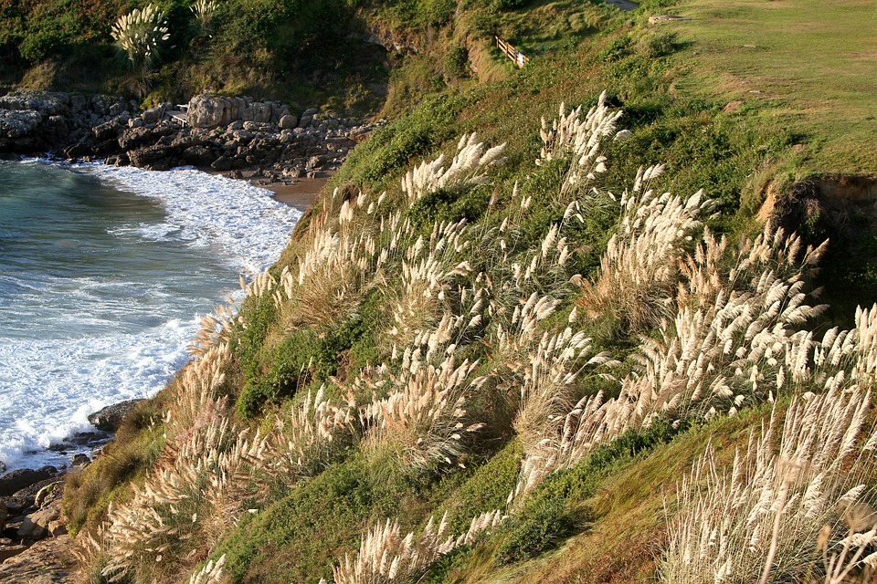 From Mud Baths to Stunning Beaches: Lo Pagan's Unique Attractions