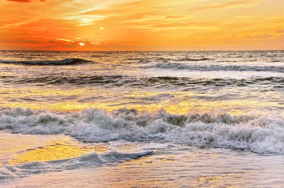 From Seafood Delights to Vibrant Festivals: Discovering the Gastronomic Delights of Cambrils
