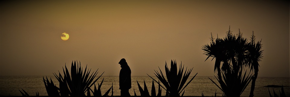 From Fishing Village to Tourist Haven: The Evolution of Benicarló