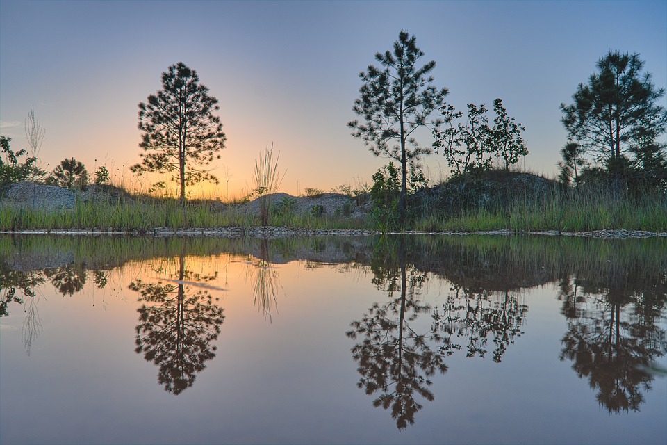 The Allure of Costa de la Luz: A Haven for Nature Lovers