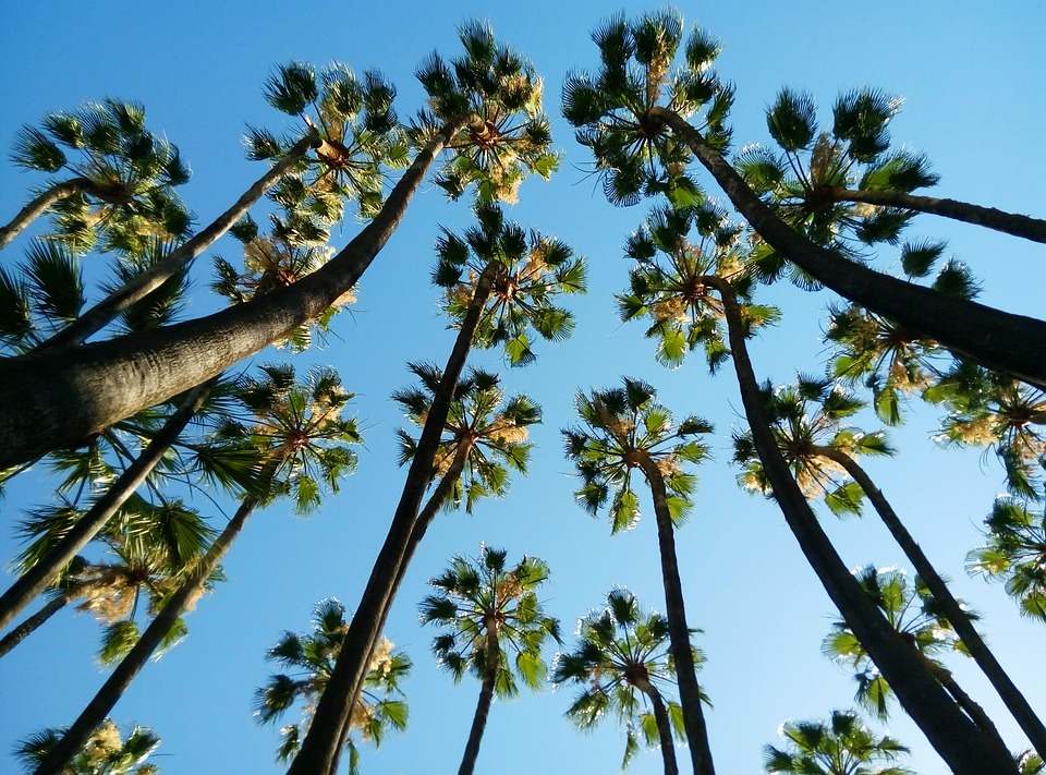 Sun, Sand, and Sangria: Costa del Sol's Beach Life Unveiled