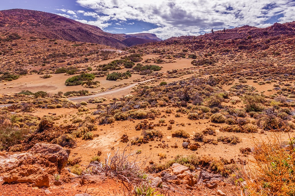 From Coastal Bliss to Archaeological Marvels: Gavà's Diverse Delights Await